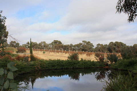Hotham Ridge Estate - Tourism Gold Coast 27