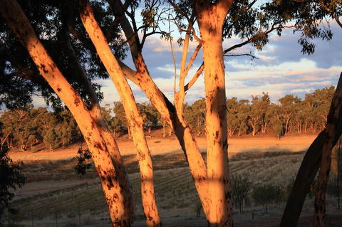 Hotham Ridge Estate - Tourism Gold Coast 30