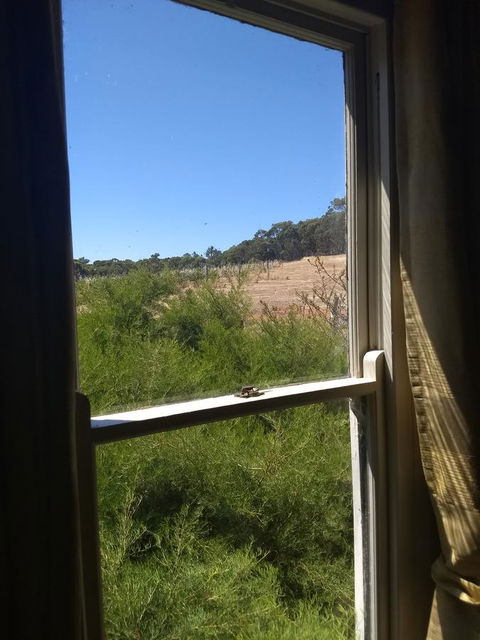 Hotham Ridge Estate - Tourism Gold Coast 8