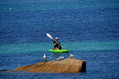 Sandpiper Retreat - Tourism Gold Coast 29