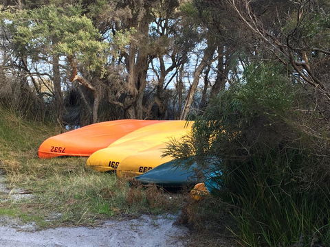 Riverside Retreat Chalets, Walpole - Tourism Gold Coast 20