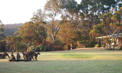 Riverside Retreat Chalets, Walpole - Tourism Gold Coast 0