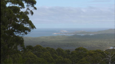 Riverside Retreat Chalets, Walpole - Tourism Gold Coast 30