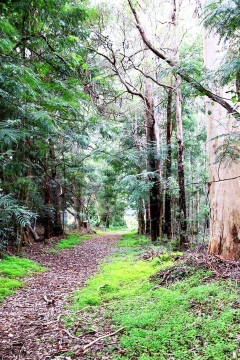 Treenbrook Cottages - Tourism Gold Coast 12