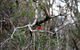 Treenbrook Cottages - thumb 5