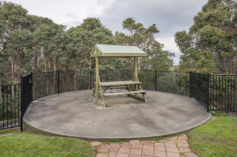 A Hidden Bush Delight - Tourism Gold Coast 8