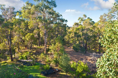 A Hidden Bush Delight - Tourism Gold Coast 30