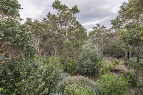 A Hidden Bush Delight - Tourism Gold Coast 7
