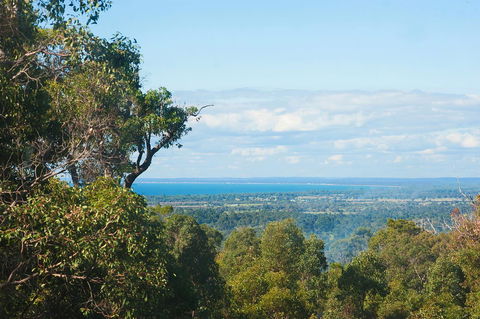 A Hidden Bush Delight - Tourism Gold Coast 31