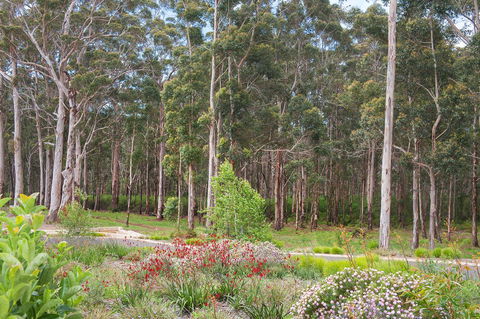 Churchill Studios - Tourism Gold Coast 9