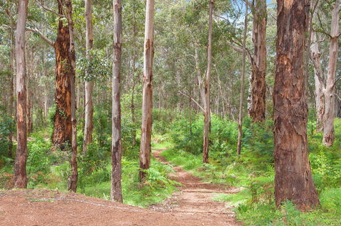 Churchill Studios - Tourism Gold Coast 8