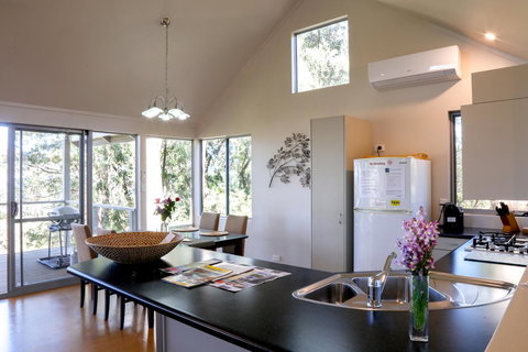 Pelicans At Denmark - Tourism Gold Coast 1