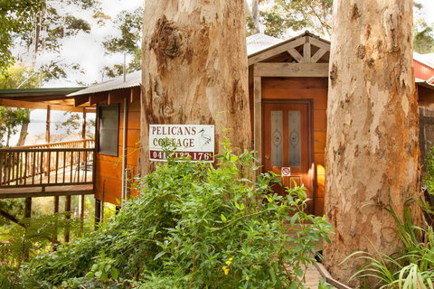 Pelicans At Denmark - Tourism Gold Coast 7