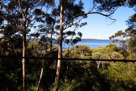 Pelicans At Denmark - Tourism Gold Coast 3