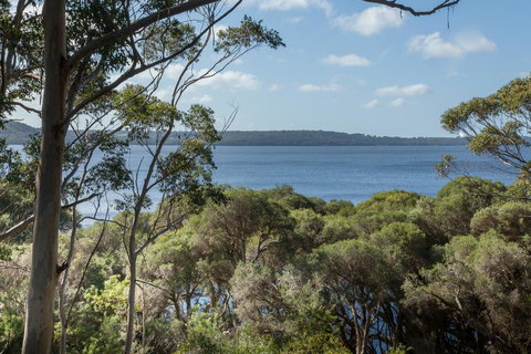 Pelicans At Denmark - Tourism Gold Coast 8