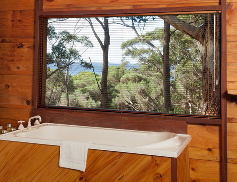 Pelicans At Denmark - Tourism Gold Coast 10