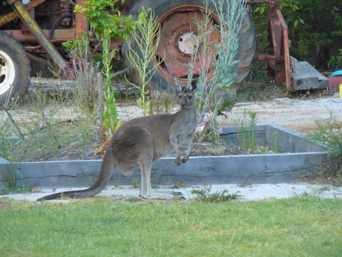 Nannup Bush Retreat - Tourism Gold Coast 38