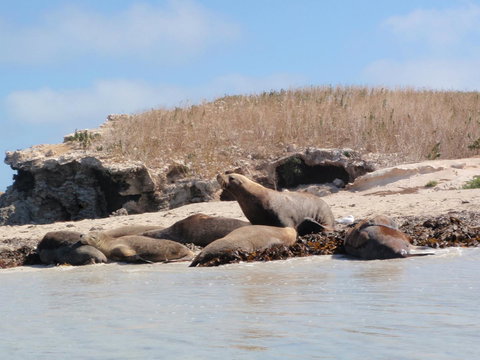 Island View Villas - Tourism Gold Coast 14