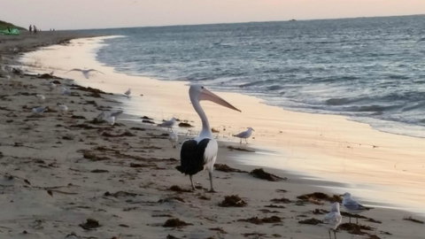 Island View Villas - Tourism Gold Coast 17