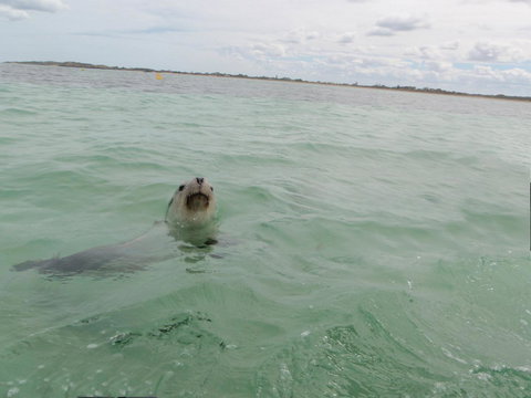 Island View Villas - Tourism Gold Coast 13