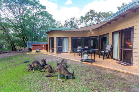 Yelverton Brook Conservation Sanctuary - Tourism Gold Coast 18
