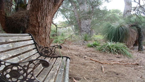 Yelverton Brook Conservation Sanctuary - Tourism Gold Coast 42