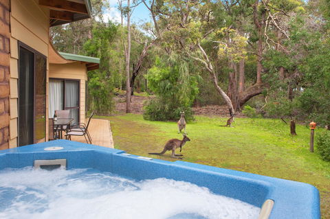 Yelverton Brook Conservation Sanctuary - Tourism Gold Coast 9