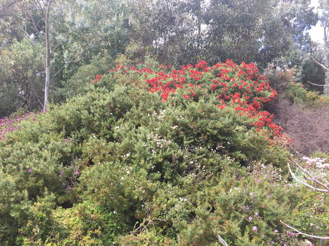 Tegwan's Nest Holiday Home - Tourism Gold Coast 42
