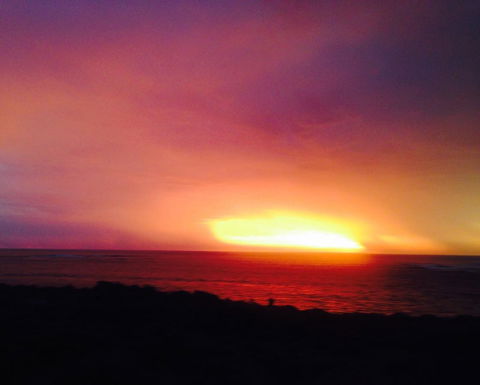 Studio Tramonto - Tourism Gold Coast 10