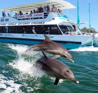 Belvedere Caravan Park - Tourism Gold Coast