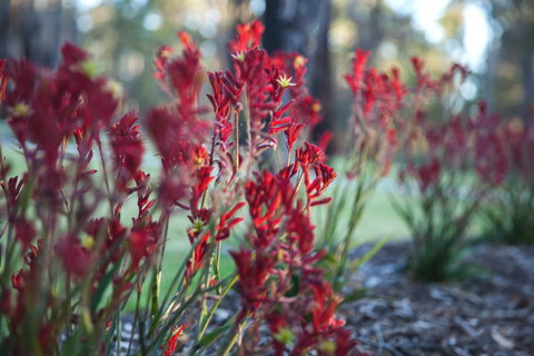 Amaroo Retreat & Spa - Gold Coast 16