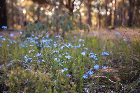 Amaroo Retreat & Spa - Gold Coast 15