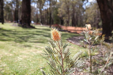 Amaroo Retreat & Spa - Gold Coast 19