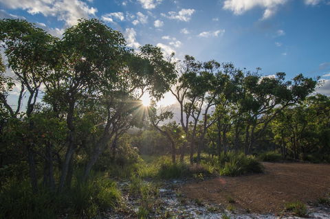 Cape Howe Cottages - Tourism Gold Coast 1