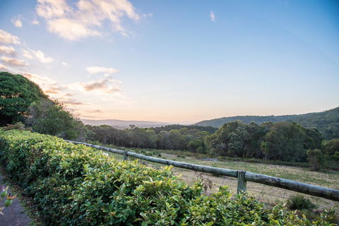 Cape Howe Cottages - Tourism Gold Coast 29