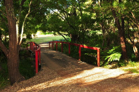Waterfall Cottages - Tourism Gold Coast 17