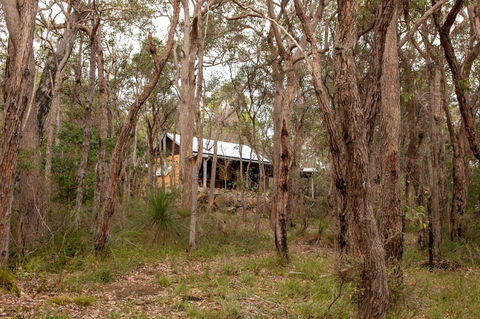 Denmark Forest Retreat - Tourism Gold Coast 27
