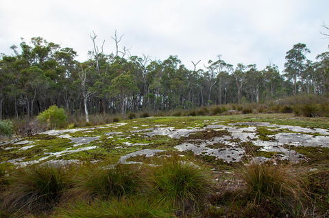 Denmark Forest Retreat - Tourism Gold Coast 26