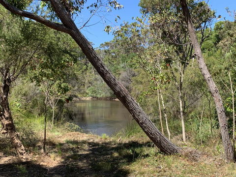 Denmark Forest Retreat - Tourism Gold Coast 32