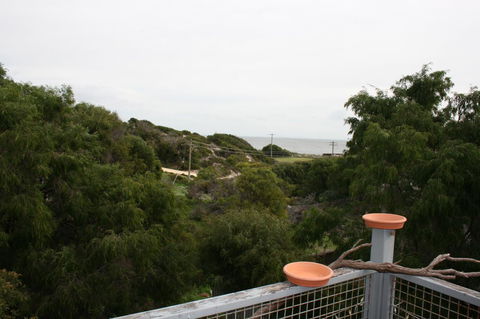 Peppy Beach Ocean Views - Tourism Gold Coast 8