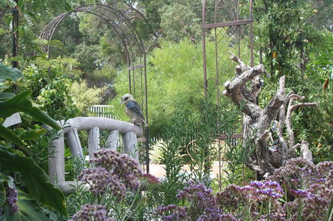Rosebridge House Bed & Breakfast Adult Retreat - Tourism Gold Coast 12