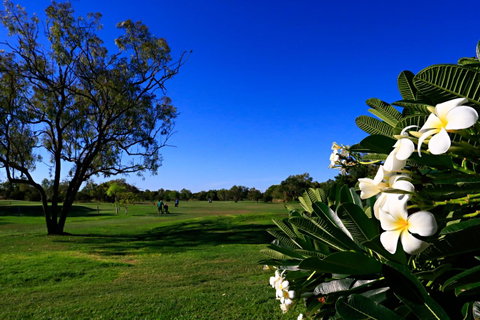 Habitat Resort - Tourism Gold Coast 30