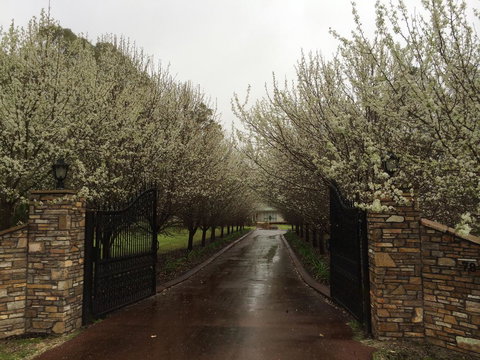 Nivalis Bed And Breakfast - Gold Coast 25