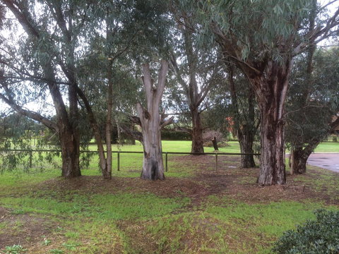 Nivalis Bed And Breakfast - Gold Coast 29