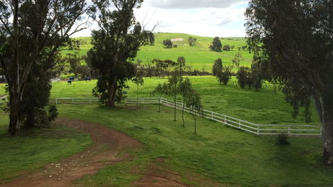 Daisy Cottage - Tourism Gold Coast 22