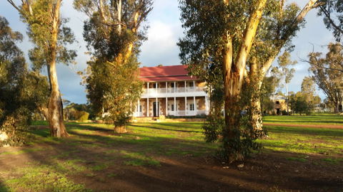Daisy Cottage - Tourism Gold Coast 26