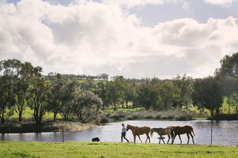 Daisy Cottage - Tourism Gold Coast 28