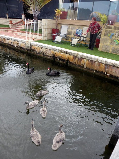 Yunderup Kannie Kottage - Gold Coast 14