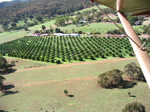 Bindoon's Windmill Farm - Tourism Gold Coast 3