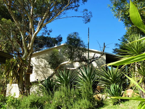 Treetops Cottage - Tourism Gold Coast 4